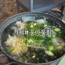 거제물회 | 거제 웅아물회 물메기탕/성게비빔밥 후기 | 현지인 추천 거제 맛집