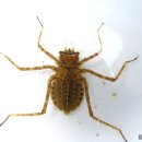 성모유치원 이미지