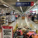허쉬파피홈플러스