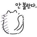 주식회사 캠프빌리지 이미지