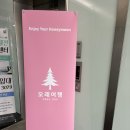 [공지] 대전 신혼여행 여행사 5곳 상담 후기: 오래여행 코리아트래블 플래닛투어 에스투어 허니문리조트