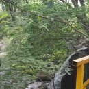 도깨비 계곡산장 이미지