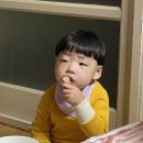 덕곡주유소 이미지
