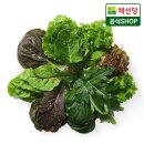 신선한집