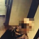 VIP모텔 이미지