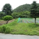 원터농장 이미지