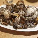 속에천불청송얼음막걸리 이미지