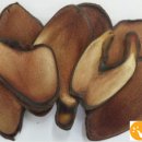 보령정한의원 이미지