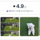 슈하우스 이미지