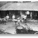 도매만상 이미지