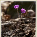 안양농장 이미지