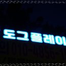플레이도그 네이버블로그