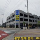 선우다농 이미지