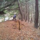 대도농장 이미지