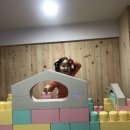 강릉 키아오라 키즈카페::강릉 입암동 키즈카페 오픈 이벤트중이에요^^