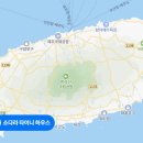 소다라 타이니 하우스