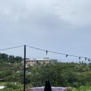 말티즈민박