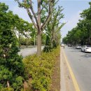 평택시청 중앙광장1 이미지