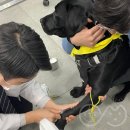 로이병원 이미지