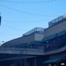 (유)아웃백스테이크하우스코리아 고척아이파크몰점 | 아웃백스테이크하우스 고척 아이파크몰 방문후기