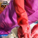 신선 낙지 | 안양 장수수산 신선한 대왕가리비와 전복 산낙지 구매 후기