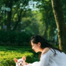 24시 라인동물의료센터 이미지