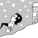 적설량측정 조선비즈