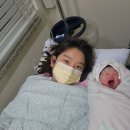 잠실 송파고은빛산부인과 둘째 제왕절개 출산 후기