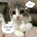 일리PC방 이미지