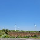 동뜬식당 이미지