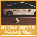 옥구지구대 이미지