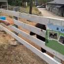 상교농장 | 여주 동물체험하기 좋은 곳 '산속애' 여주 가볼 만한 곳 추천