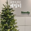 메릴리 | 남양주 다산 카페 추천 현대프리미어캠퍼스몰 플라워 카페 메릴리 위치 크리스마스 데이트