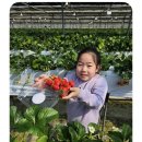 경용태권도 이미지