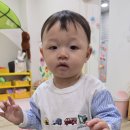 냠냠냠 Daum카페