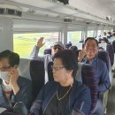 보성장여관 이미지