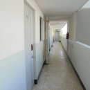 가수원로-19 이미지