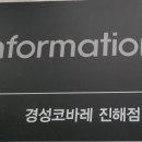 경성코바레 이미지