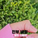 뷰티 다미안