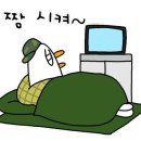 토리키치오산