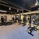 몸의형태 이미지