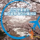 인천 벗꽃명소 월미공원 월미산 둘레길 주차정보 위치 관람동선