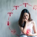 체이스약국 | PMS 생리전 증후군 극복하는 방법, 프리페민 복용 후기, 요가, 보조제
