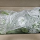 (진)갈비농가 | 속이 편한 명절 급진급빠 다이어트식단 | 농가의자부심 유기농 샐러리 2kg