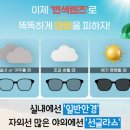 안경닥터 이미지