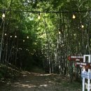 순봉가 이미지