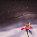 동탄문화센터로 이미지