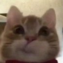 꾸꾸#