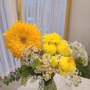 사파동276 | 276 :: 봉봉화병꽂이캐리어 :: 창원 성주동꽃집 남양동꽃집 신월동 꽃집 봉봉플라워