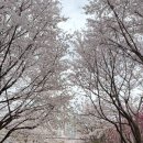 오미크론 | 마포수학학원 오미크론학원 방문 후기, 서술형 중심 수업이 인상적